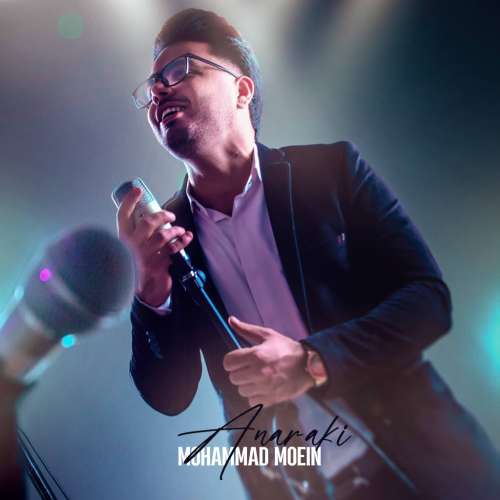 محمد معین انارکی